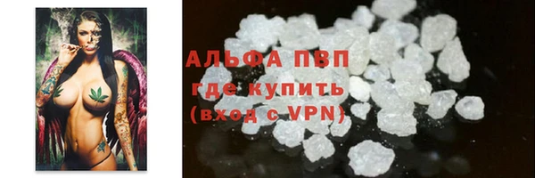 СК Балахна