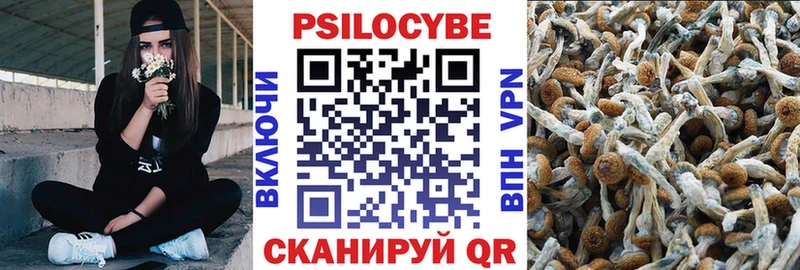 Псилоцибиновые грибы Psilocybine cubensis  Шебекино 